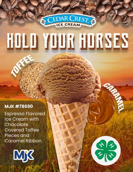 Cedar Crest espresso ice cream cone with chocolate-covered toffee pieces and caramel ribbon for foodservice wholesale distribution.