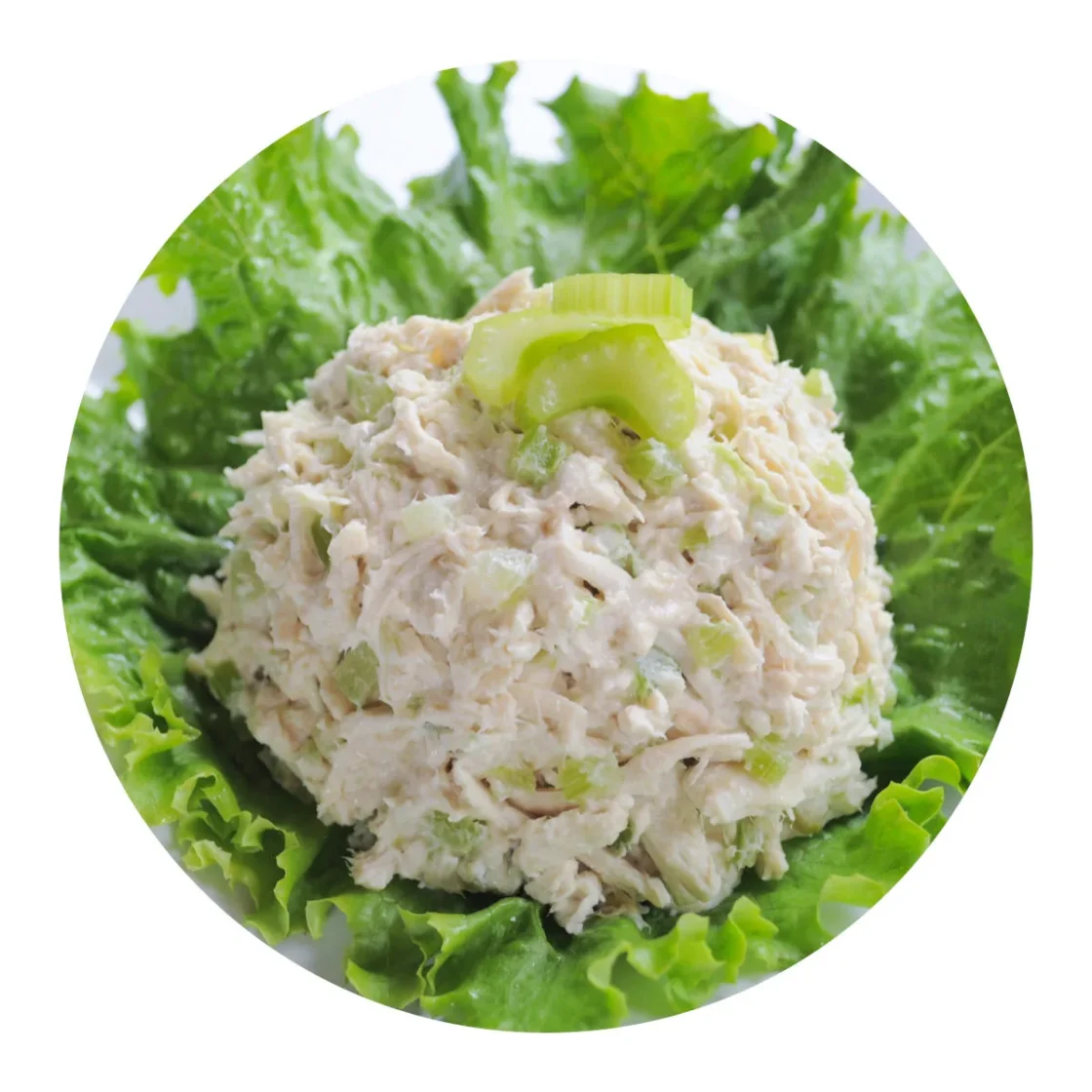 Creamy chicken salad with diced celery served on fresh green lettuce, ideal for foodservice and wholesale food suppliers.