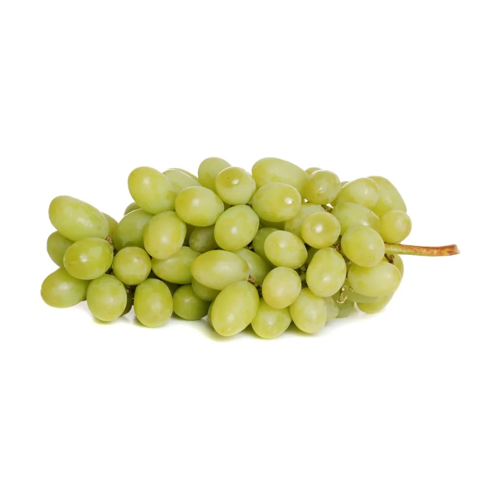 Fresh green table grapes in bulk bunch with stem, ideal for food service, wholesale distribution, and commercial food supply.