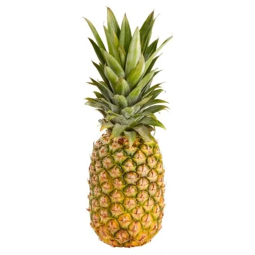 Fresh whole pineapple with green crown leaves isolated on white background for food suppliers and distributors.